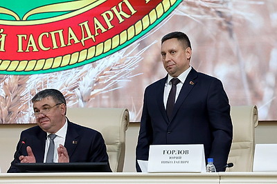 "Прилагать усилия для приумножения результата". Шулейко представил в Минсельхозпроде нового руководителя