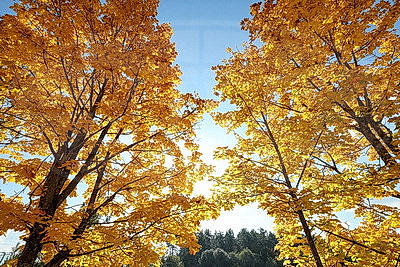 ФОТОХРОНИКА начинает новый информационный день