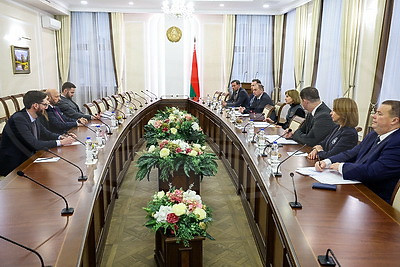 Здравоохранение, культура, бизнес. Петкевич встретилась с почетным консулом Беларуси в Швейцарии