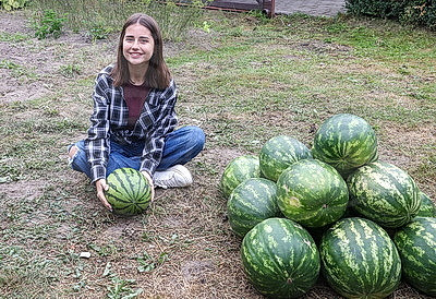 Семена с президентской бахчи дали плоды под Гомелем