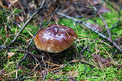 ФОТОХРОНИКА начинает новый информационный день