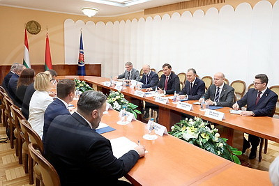 Рыженков на переговорах с Сийярто: мы готовы обсуждать даже самые чувствительные вопросы