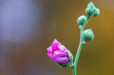 ФОТОХРОНИКА начинает новый информационный день