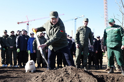 Лукашенко во время субботника высадил деревья в парке Народного единства