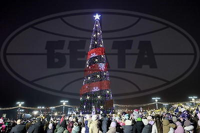 В Витебске зажгли огни на главной елке областного центра