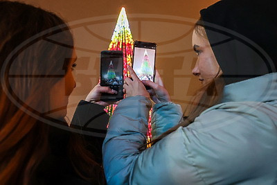 Главную елку региона зажгли в Могилеве