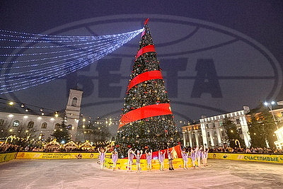 Огни зажгли на главной елке Бреста