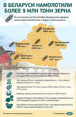 Инфографика. В Беларуси намолотили более 9 млн тонн зерна