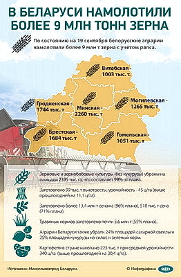 Инфографика. В Беларуси намолотили более 9 млн тонн зерна