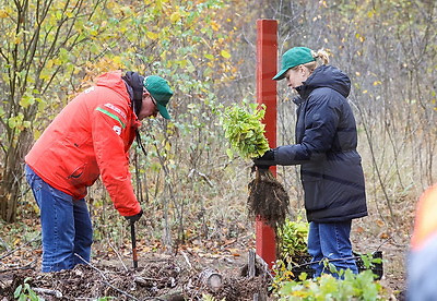 Задел на будущее, важный ресурс для следующих поколений. Карпенко об акции "Дай лесу новае жыццё!"