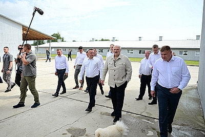 Лукашенко ознакомился с развитием в Беларуси козоводства