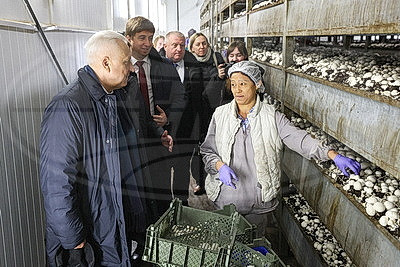 Законопроект по вопросам внешней трудовой миграции должен поступить на рассмотрение депутатов в 2026 году