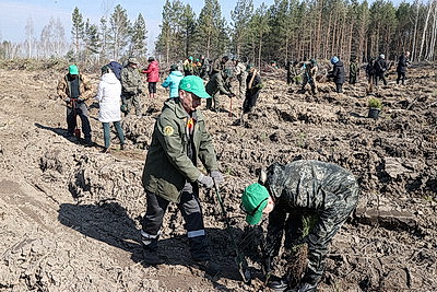 Для будущих поколений. Акция "Дай лесу новае жыццё!" стартовала в Жлобинском районе