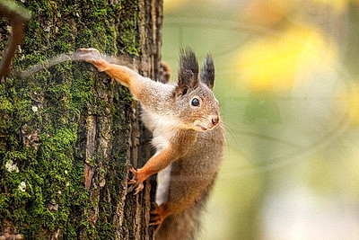 ФОТОХРОНИКА начинает новый информационный день