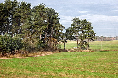 ФОТОХРОНИКА начинает новый информационный день