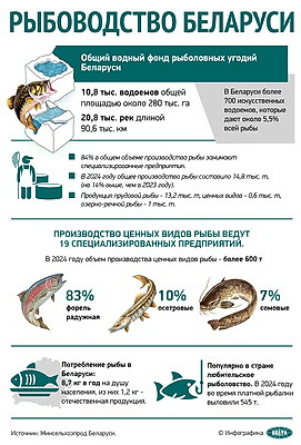 Инфографика. Рыбоводство Беларуси