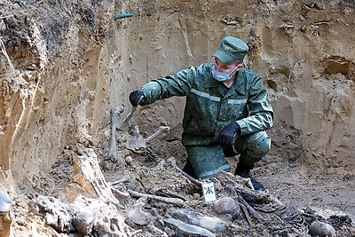 В Полоцком районе обнаружено место массового расстрела мирных граждан времен ВОВ