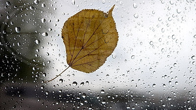 ФОТОХРОНИКА начинает новый информационный день