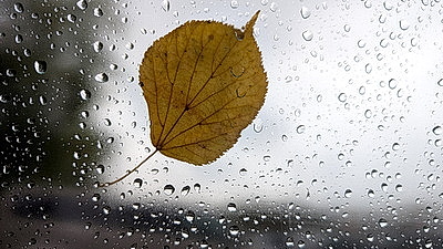 ФОТОХРОНИКА начинает новый информационный день