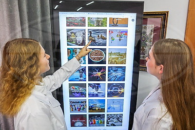 Онлайн-гид по студенческому городку. Как первокурсники Витебской ветакадемии знакомятся с вузом