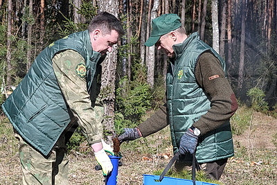 К акции "Дай лесу новае жыццё" присоединились представители Могилевского облисполкома