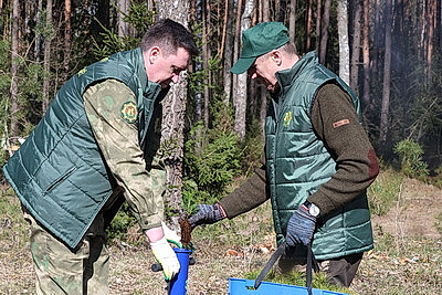 К акции "Дай лесу новае жыццё" присоединились представители Могилевского облисполкома
