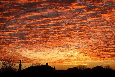 ФОТОХРОНИКА начинает новый информационный день