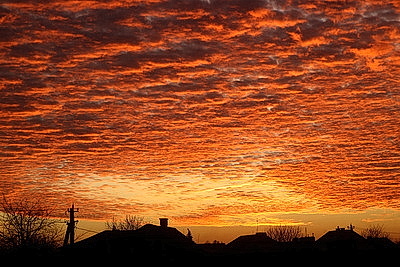 ФОТОХРОНИКА начинает новый информационный день