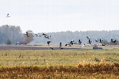 ФОТОХРОНИКА начинает новый информационный день