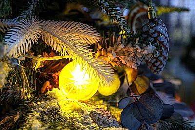 ФОТОХРОНИКА начинает новый информационный день