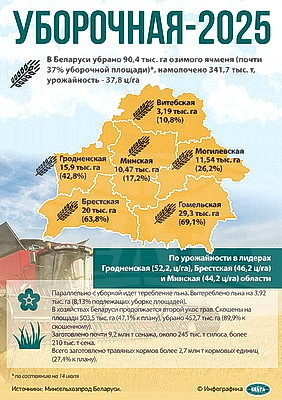Инфографика. Уборочная - 2025