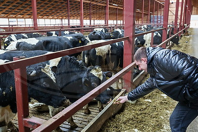 Здесь все работает на результат. Как развивается Белыничский СПК "Колхоз "Родина"