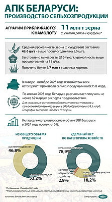 Инфографика. АПК Беларуси: Производство сельхозпродукции