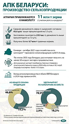 Инфографика. АПК Беларуси: Производство сельхозпродукции