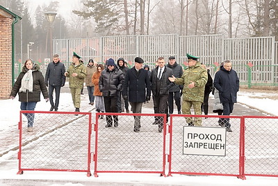 Представители международных организаций оценили влияние польского забора на Беловежскую пущу