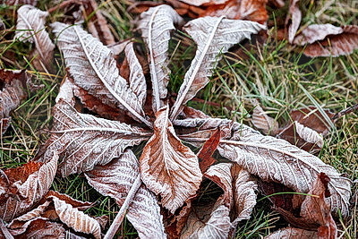 ФОТОХРОНИКА начинает новый информационный день