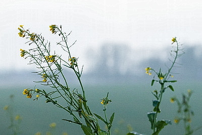 ФОТОХРОНИКА начинает новый информационный день