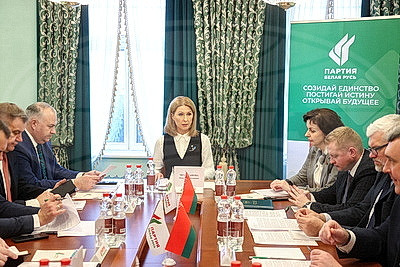 "Содействовать экономическому развитию и вносить региональные инициативы". Чемоданова о роли партий