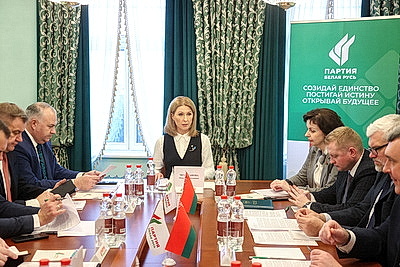 "Содействовать экономическому развитию и вносить региональные инициативы". Чемоданова о роли партий