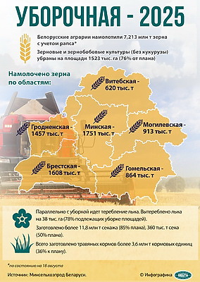 Инфографика. Уборочная - 2025
