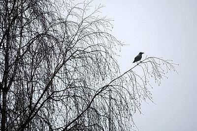 ФОТОХРОНИКА начинает новый информационный день