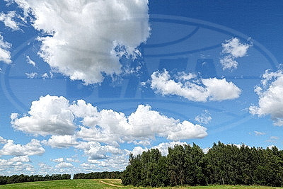 ФОТОХРОНИКА начинает новый информационный день