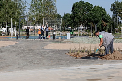 Заславль 20 сентября примет областные "Дажынкi". Как город готовится к празднику