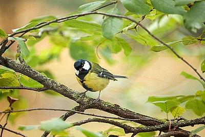 ФОТОХРОНИКА начинает новый информационный день