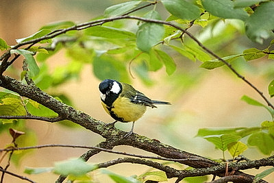 ФОТОХРОНИКА начинает новый информационный день