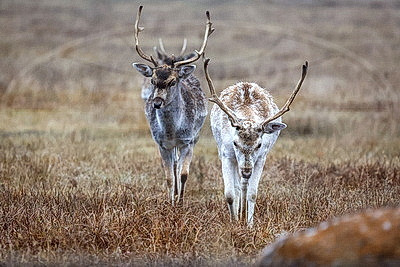 ФОТОХРОНИКА начинает новый информационный день