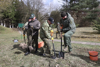 Руководство Гродненского облисполкома присоединилось к акции "Дай лесу новае жыццё"