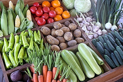 КФХ Столинского района используют пеллеты для производства плодоовощной продукции