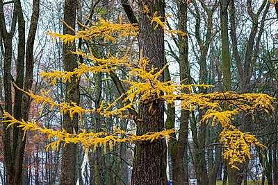 ФОТОХРОНИКА начинает новый информационный день