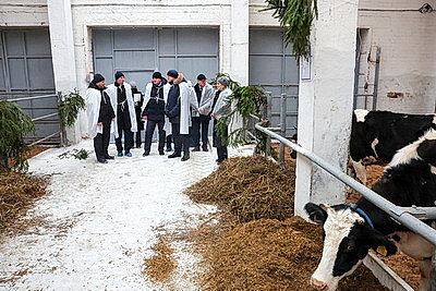 Серьезная перезагрузка отрасли: девять новых МТК появилось в Могилевской области в 2025 году